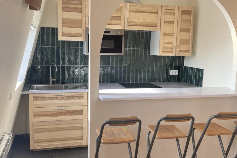 Rénovation appartement Paris 37 m² — cuisine ouverte et gain DPE par TerraRenova