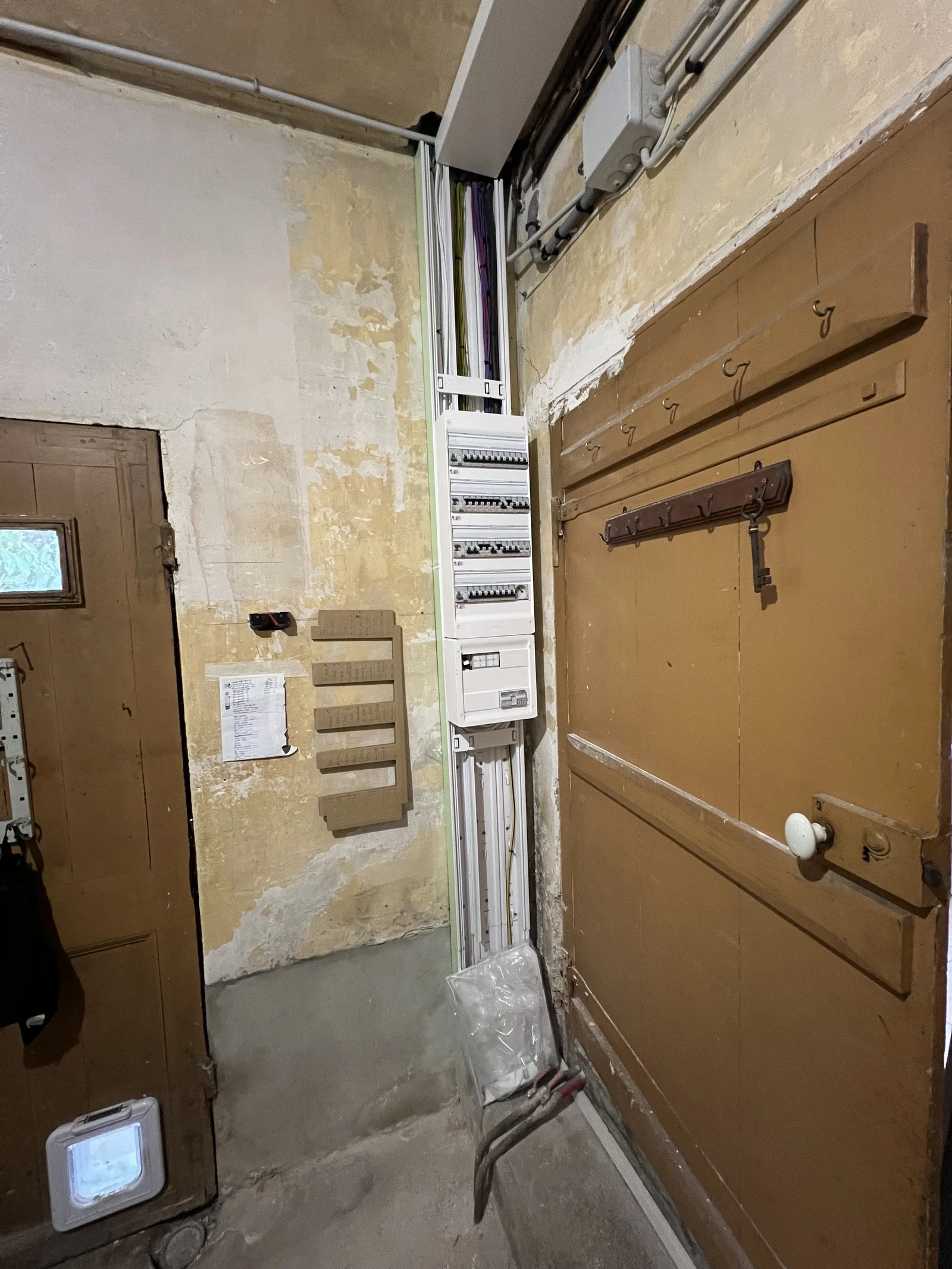 Travaux d'électricité par TerraRenova — tableau, prises, RJ45, domotique