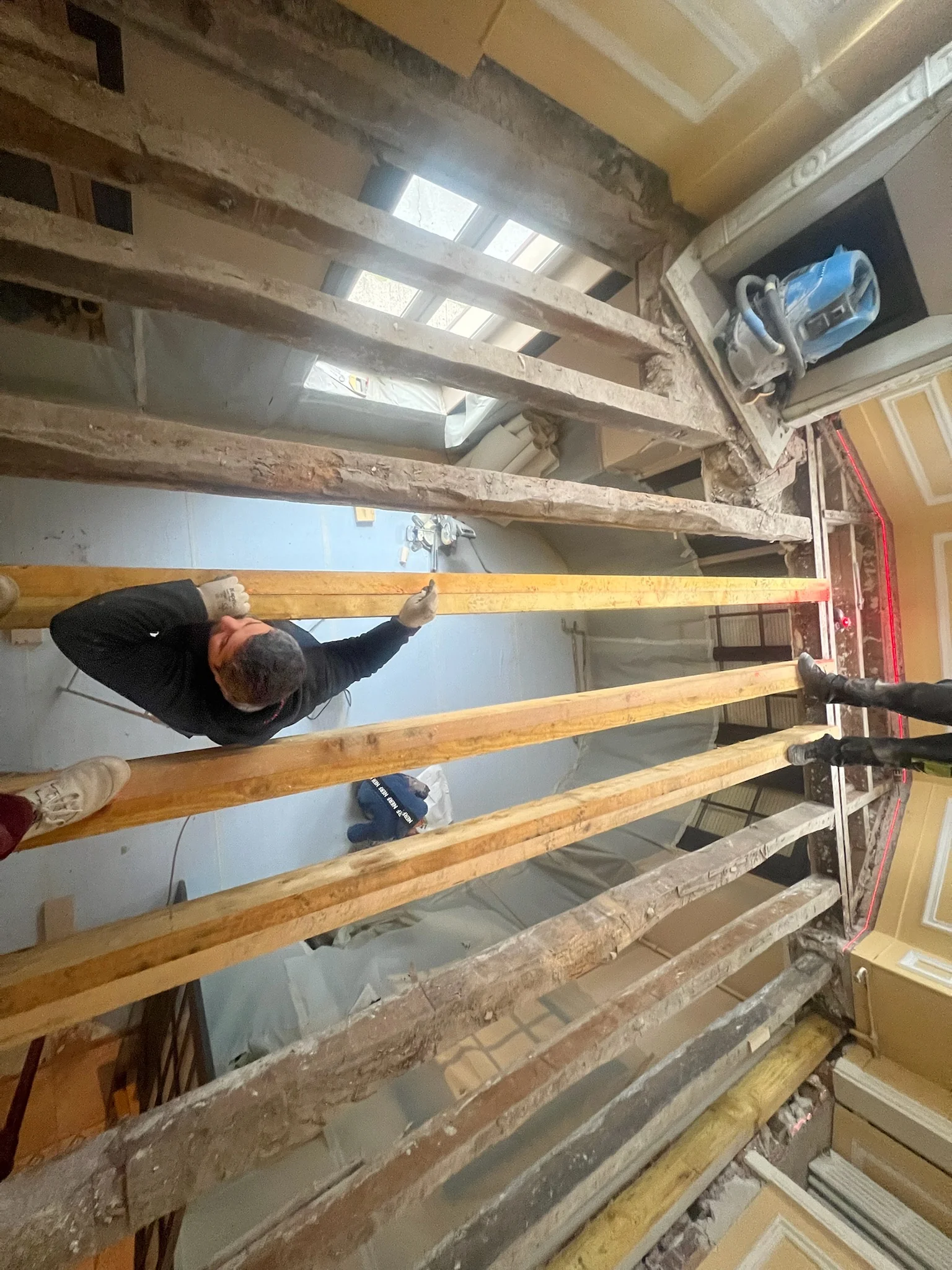 Parquet et plancher par TerraRenova — vue d'ensemble