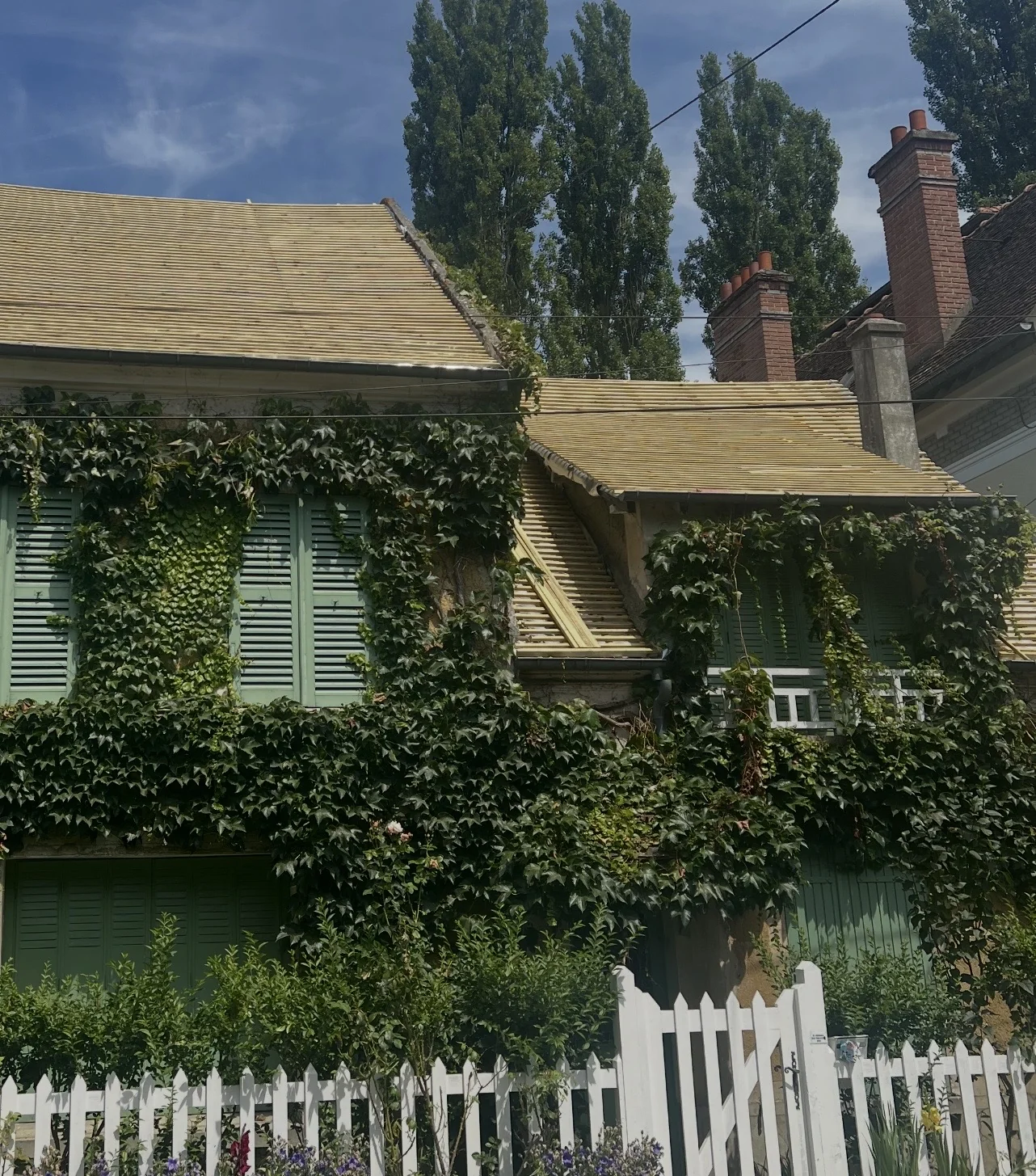 Toiture et étanchéité par TerraRenova — couverture, zinguerie, velux