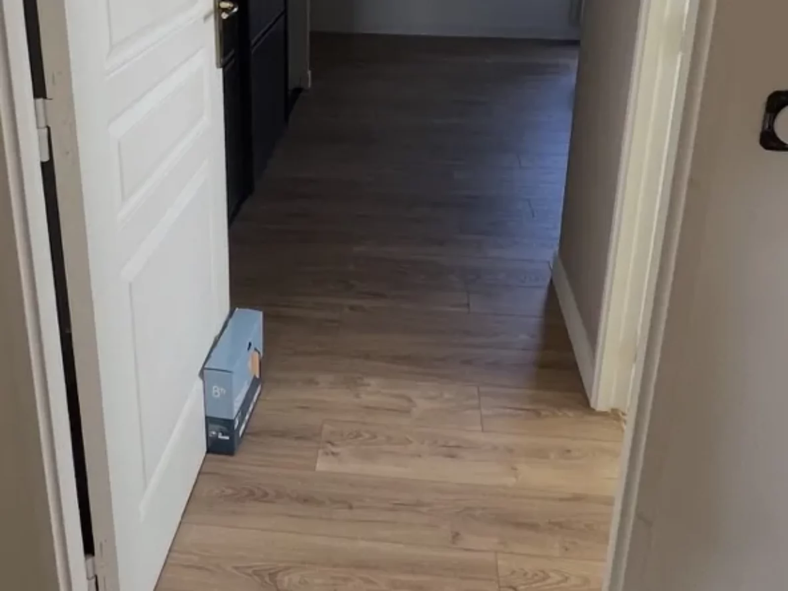 Passage de porte entre salon et chambre, sols au même niveau sans profilé